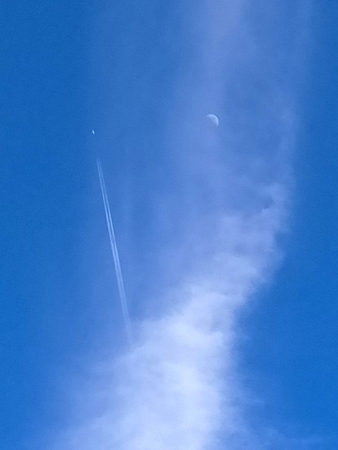 IMG20240216133948
