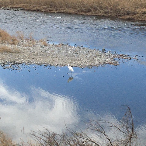 IMG_7987