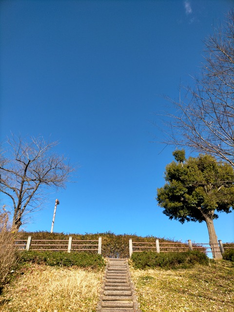 IMG20230103132850