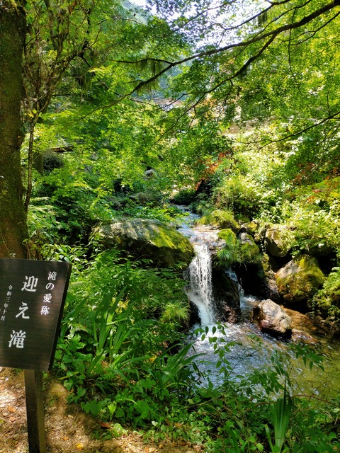 IMG20220701124039