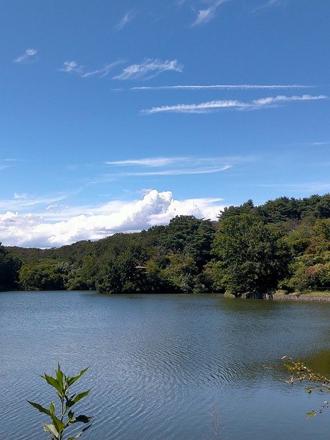 IMG20240826134228
