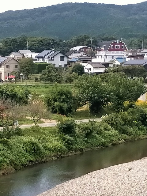 IMG20221004111139
