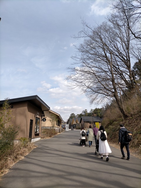 IMG20210301135918