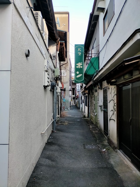 IMG20240204142659