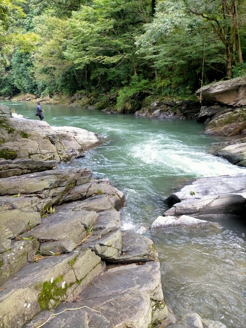 IMG20240902124656