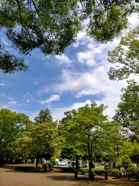 IMG20230508114923