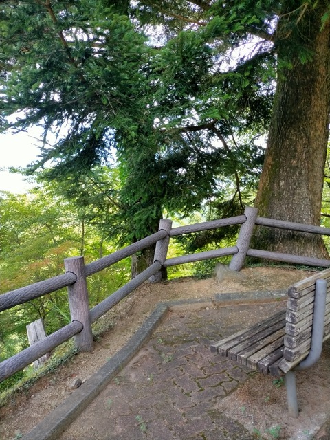 IMG20240730110001
