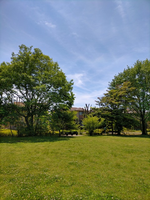 IMG20220510115305
