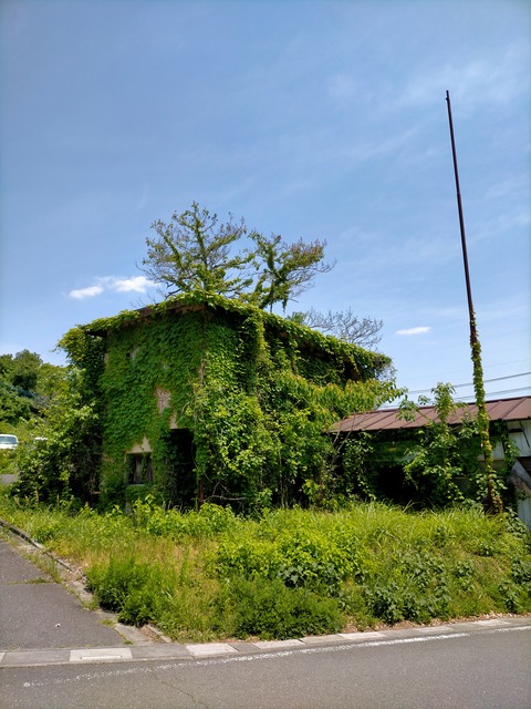 IMG20230512112628