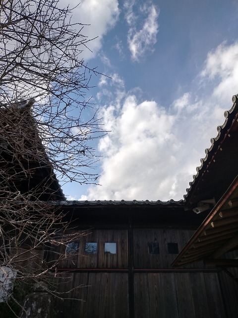 IMG20210116142640