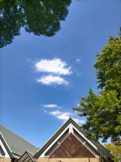 IMG20220819124912