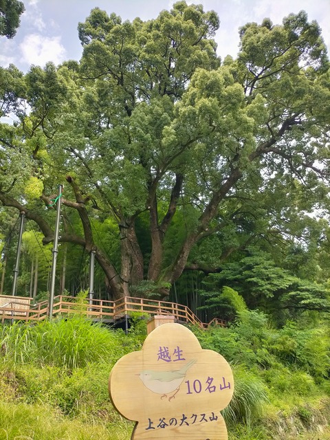 IMG20230707124014