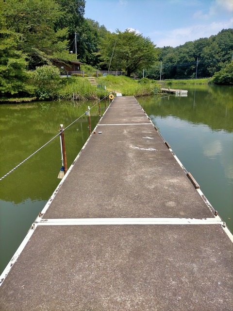 IMG20210720111116