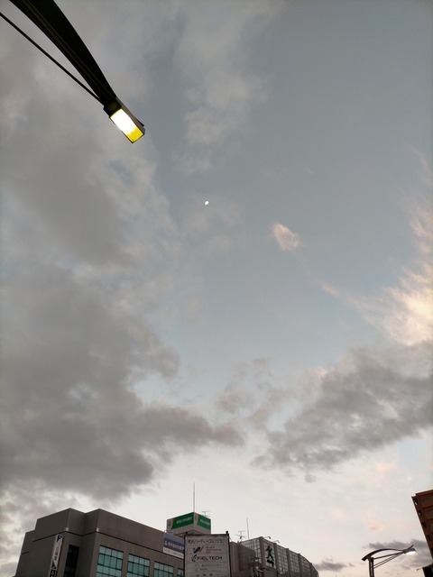 IMG20221114061845