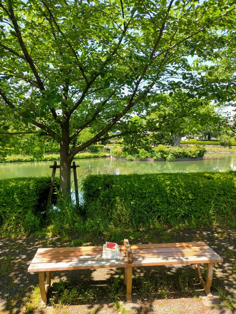 IMG20240503121433