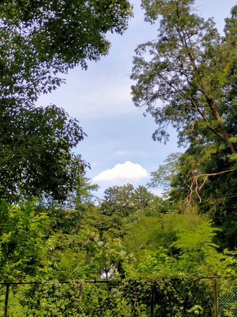IMG20260714125618