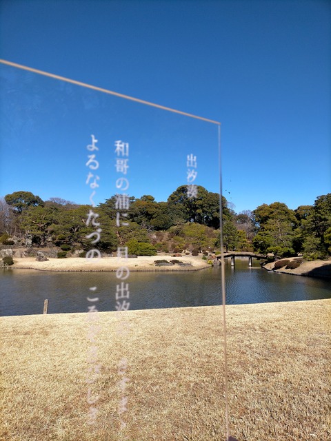 IMG20240321090939