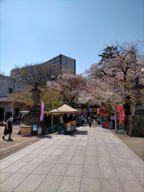 IMG20220408125529
