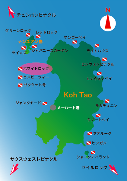 タオ島でダイビング ーダイブサイトと 見られるお魚などを紹介します タオ島でダイビング ーダイブサイトと 見られるお魚などを紹介します