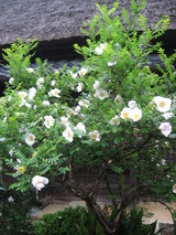 0513���⹭��2