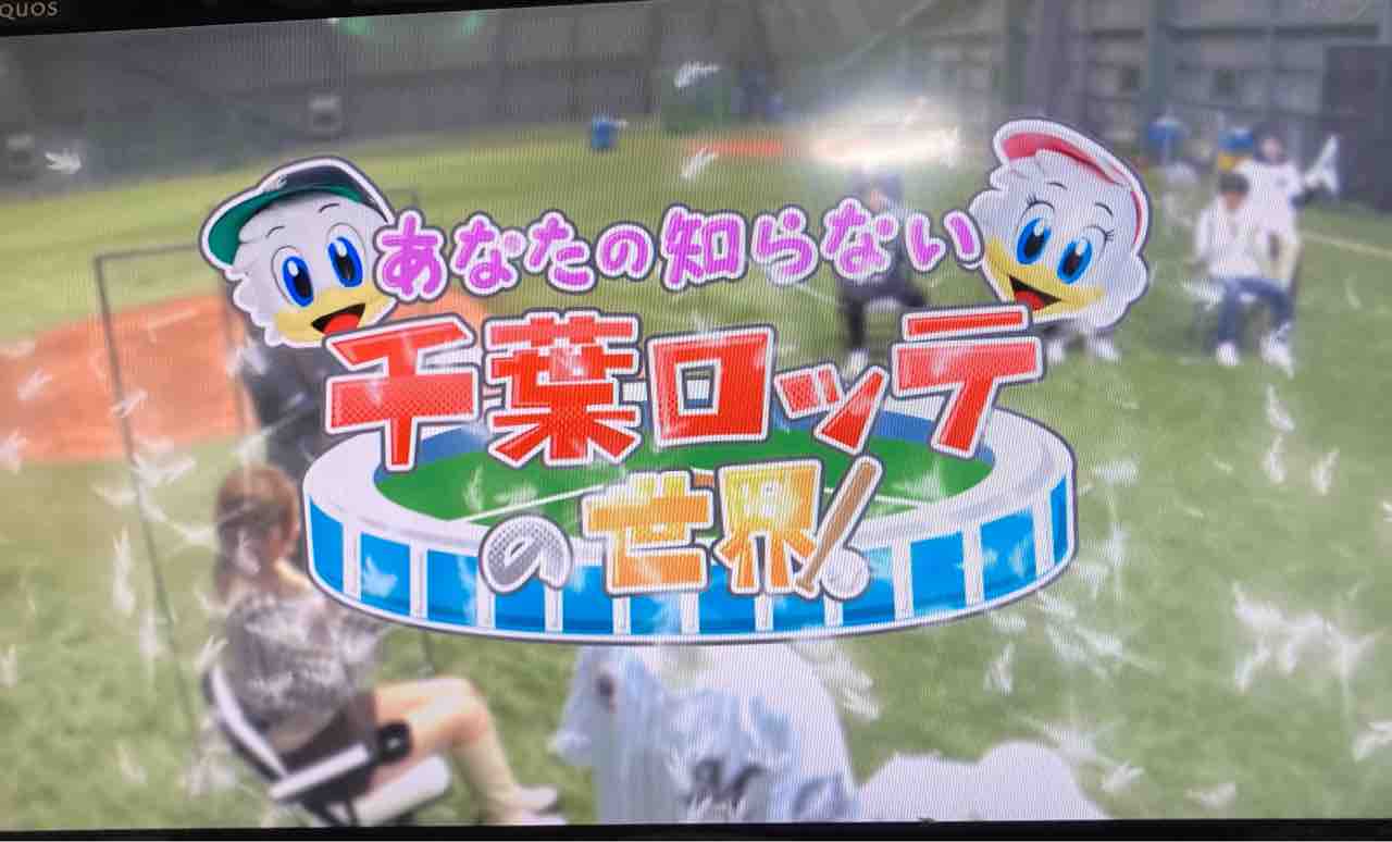テレビ観戦 正月特番 あなたの知らない千葉ロッテの世界 たっぷのブログ2冊目 テレビ観戦 正月特番 あなたの知らない千葉ロッテの世界 たっぷのブログ2冊目