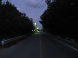 海へと続く、一本の道。