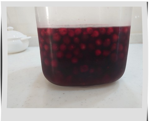 ブラックベリー＆ジューンベリー