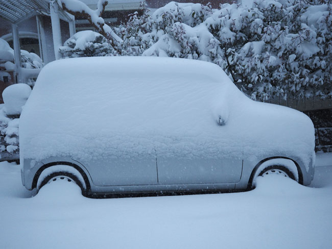 横浜の大雪 2014 : タピオカのあしあと アート、建築、夜景など