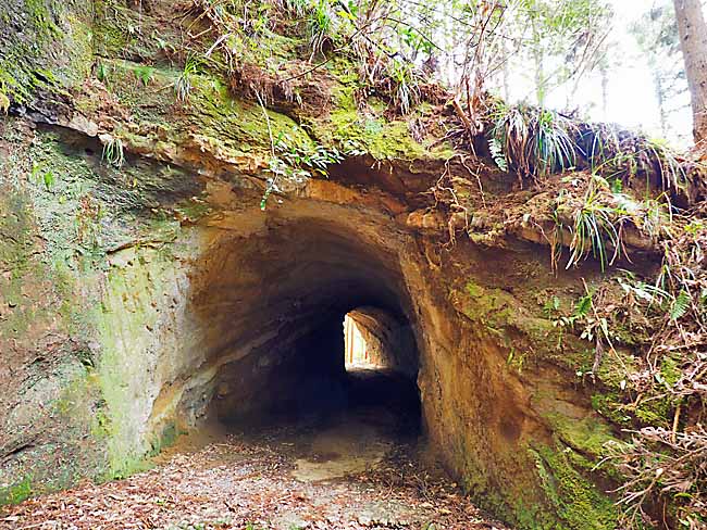富津の秘境 林道志駒線の素掘トンネル4本 千葉県富津市 タピオカのあしあと アート 建築 夜景など