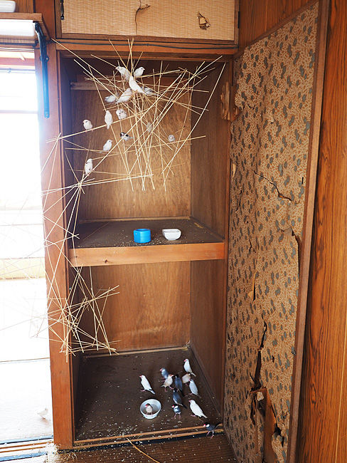 あいちトリエンナーレ16に行ってきた 1 豊橋 岡崎地区 タピオカのあしあと アート 建築 夜景など