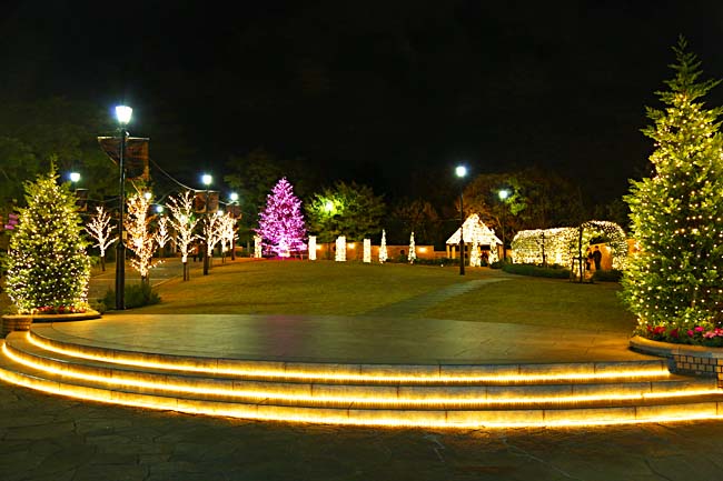 横浜 元町アメリカ山公園 クリスマスイルミネーション タピオカのあしあと アート 建築 夜景など