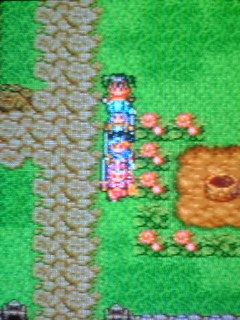 まほうのビキニを着せてみた 戦士 武闘家編 Tapiokakenjiのブログ