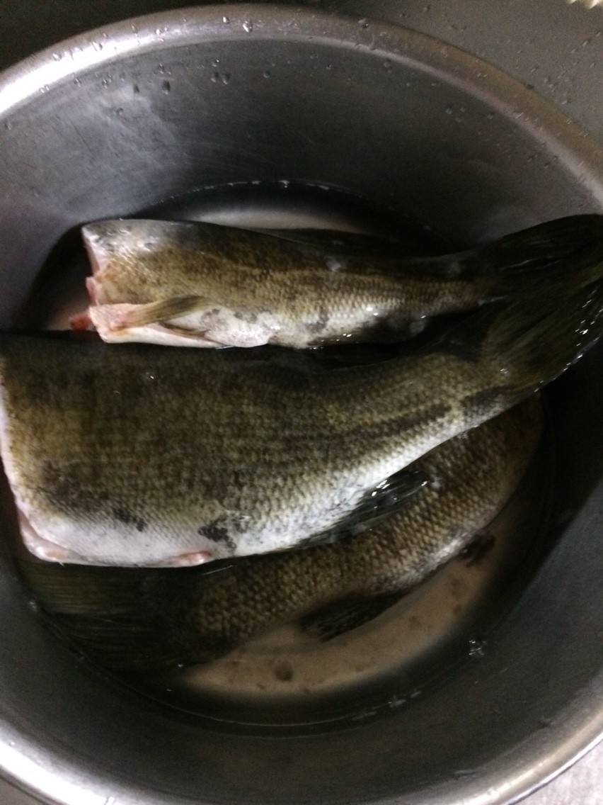 ブラックバスは実は美味いんだぞ ユムシちゃんのblog