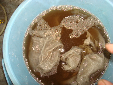 DSC06017