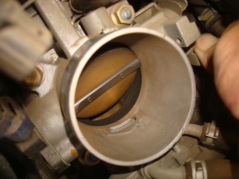 DSC05525