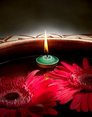 ソウルメイトカード ワンデイオラクルカードリーディング ハートスター Tara スピリチュアル セラピスト