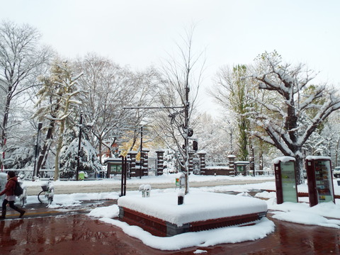 DSCF2119