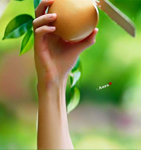 FB_IMG_1462169793716