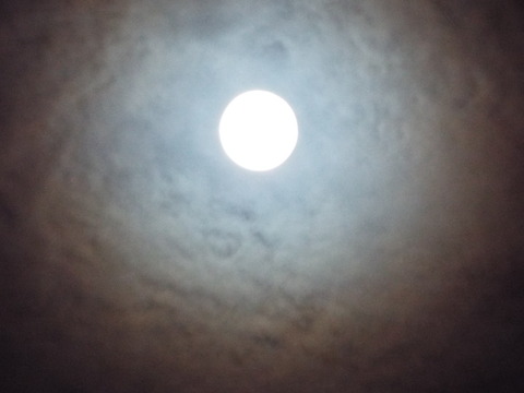 DSCF0215