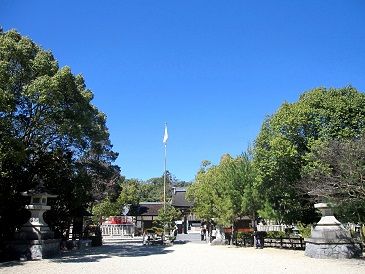 IMG_2207