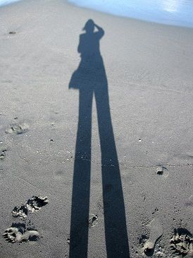 IMG_7116s