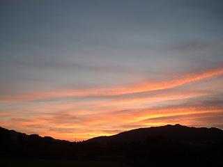 1b91d0f8.jpg