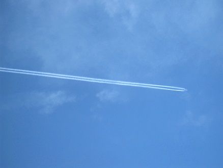 IMG_1558s