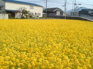 4055a053.jpg