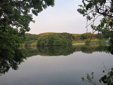 IMG_3305s