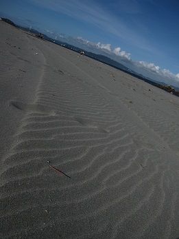 IMG_7077s