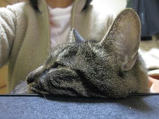 IMG_0845s