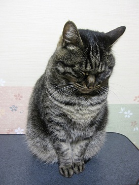 のん 眠たいs