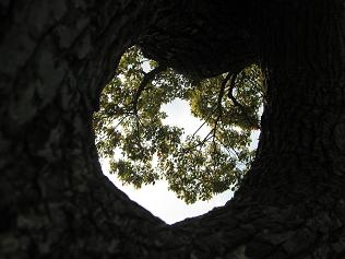 c11366d0.jpg