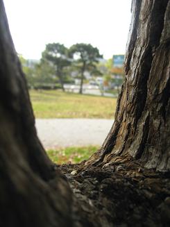 d8074448.jpg